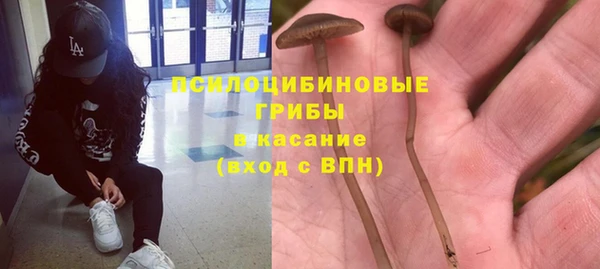 трава Балахна