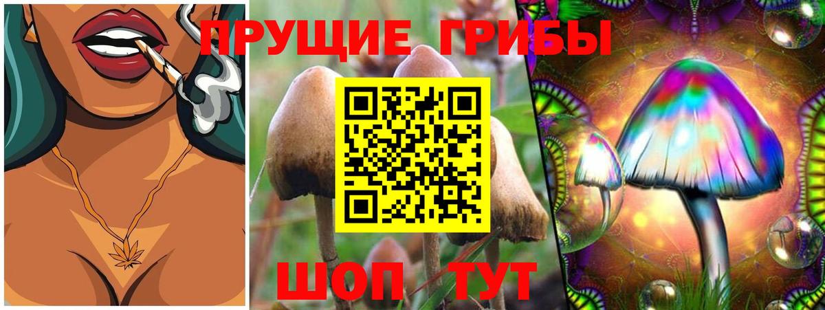 Горячий Ключ  Галлюциногенные грибы Psilocybe  Вход с VPN  Галлюциногенные грибы мицелий 